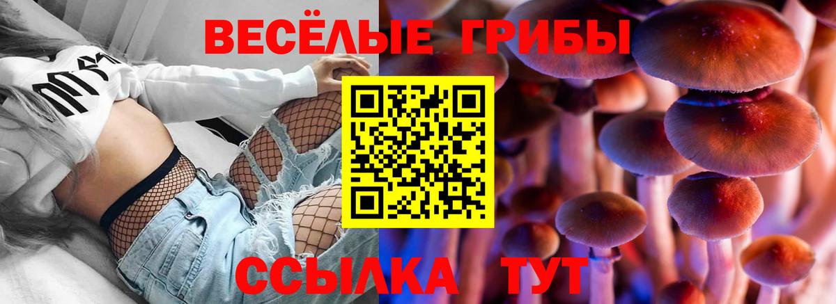 Знаменск  Галлюциногенные грибы мухоморы  Вход с VPN 